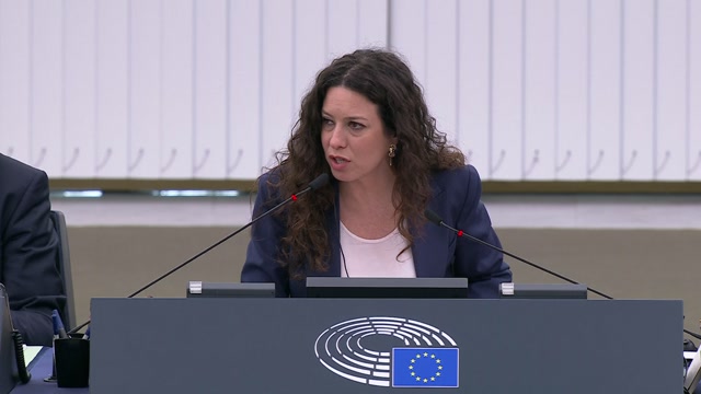 Voting Session: Erixon (A10-0086/2026) - Incir, Scheuring-Wielgus (A10-0047/2026) - Sanchez (A10-0080/2026) - Zovko (A10-0043/2026) - Hohlmeier (A10-0022/2026) - Attard (A10-0078/2026)